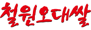 철원오대쌀