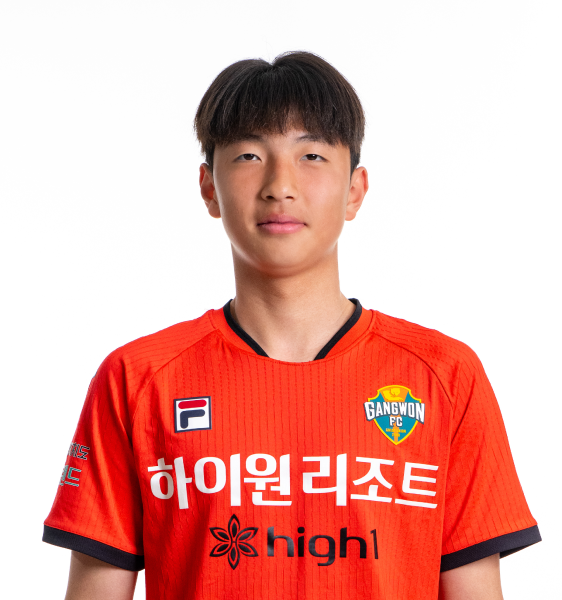 안성진